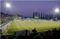 Volksschler beim Match Mattersburg vs. FAC, 20.03.2015