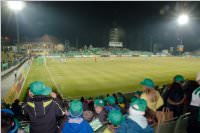 Volksschler beim Match Mattersburg vs. FAC, 20.03.2015