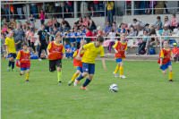 VS Neufeld gewinnt Mike Cup im Bezirk Eisenstadt, 19.05.2015