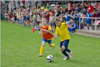 VS Neufeld gewinnt Mike Cup im Bezirk Eisenstadt, 19.05.2015
