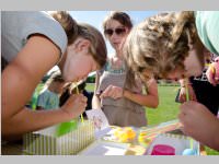 Schulfest der VS Neufeld, 13.06.2014