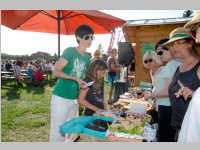 Schulfest der VS Neufeld, 13.06.2014