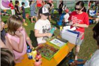 Klimaschulen  Der Sonne entgegen, 12.06.2015