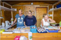 Schulfest der VS Neufeld, 09.06.2017