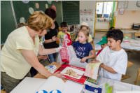 Schulfest der VS Neufeld, 09.06.2017