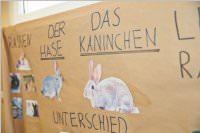 Tag der offenen Tr in der VS Neufeld, 14.01.2016