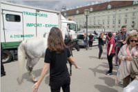 4. Klassen der VS Neufeld touren durch Wien, 24.06.2015