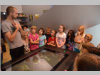 VS Neufeld im Haus des Meeres und Zoom, 11.06.2013