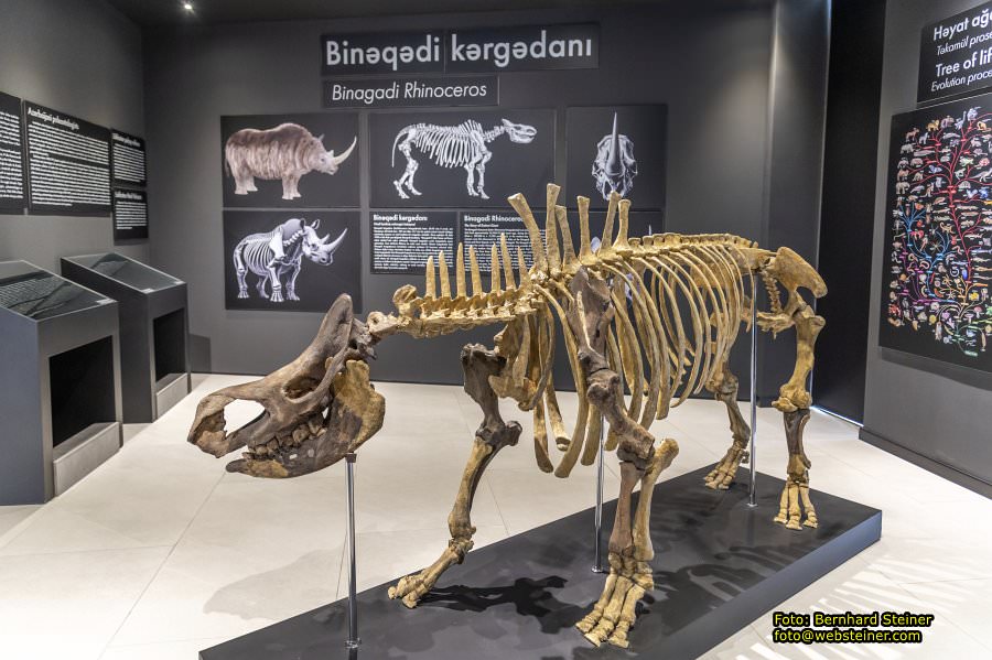 Baku, Azerbaijan, October 2025