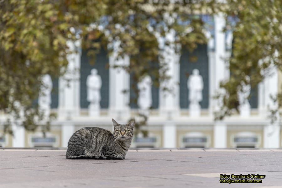 Baku, Azerbaijan, October 2025