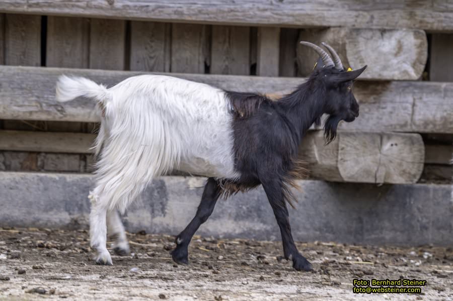 Natur- und Erlebnispark Buchenberg, Mai 2023