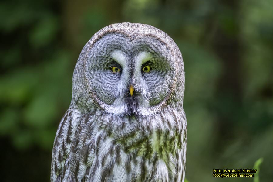 Natur- und Erlebnispark Buchenberg, Mai 2023