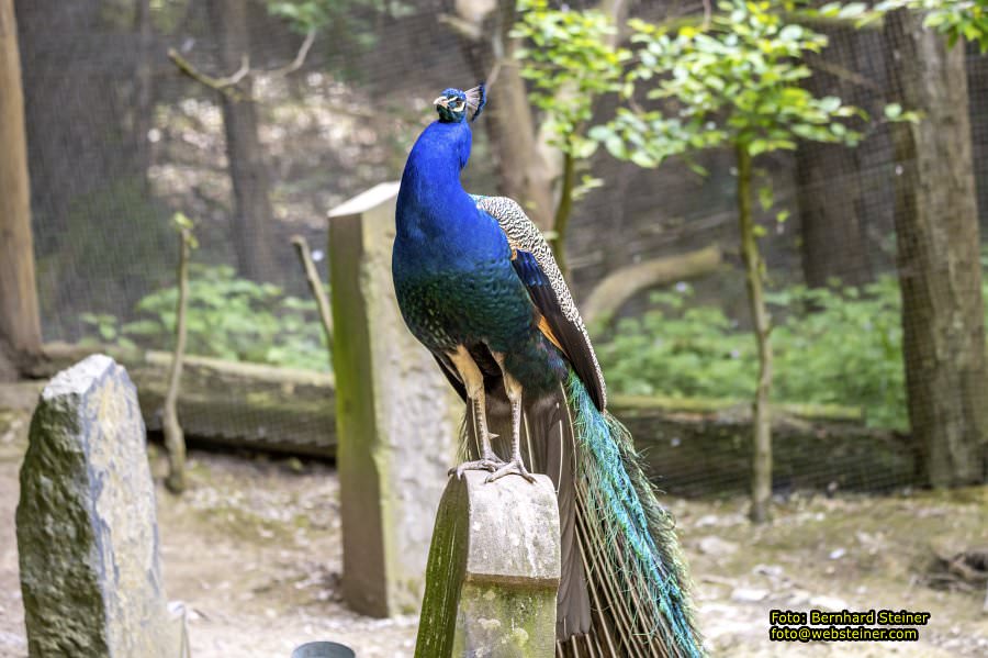 Natur- und Erlebnispark Buchenberg, Mai 2023