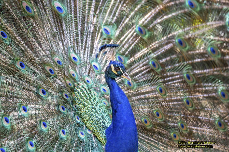 Natur- und Erlebnispark Buchenberg, Mai 2023