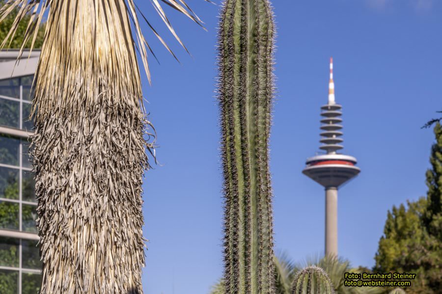 Frankfurt am Main, September 2022