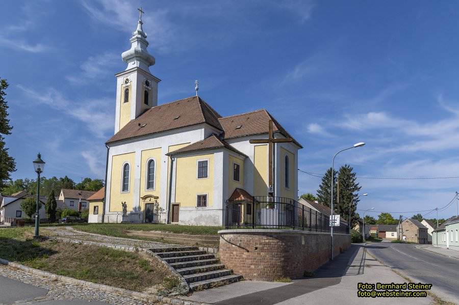 D�rnkrut im Marchfeld, August 2023