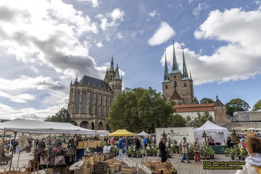 Erfurt in Thringen, September 2024