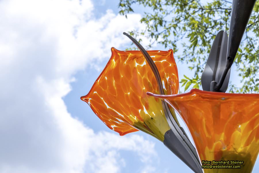 Glasmuseum- Die glserne Burg, Juni 2023