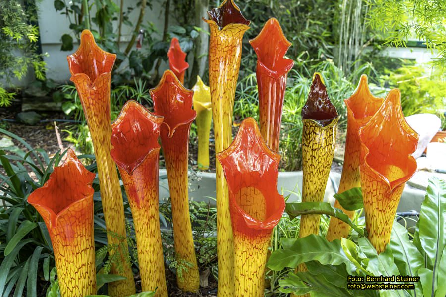 Glasmuseum- Die glserne Burg, Juni 2023