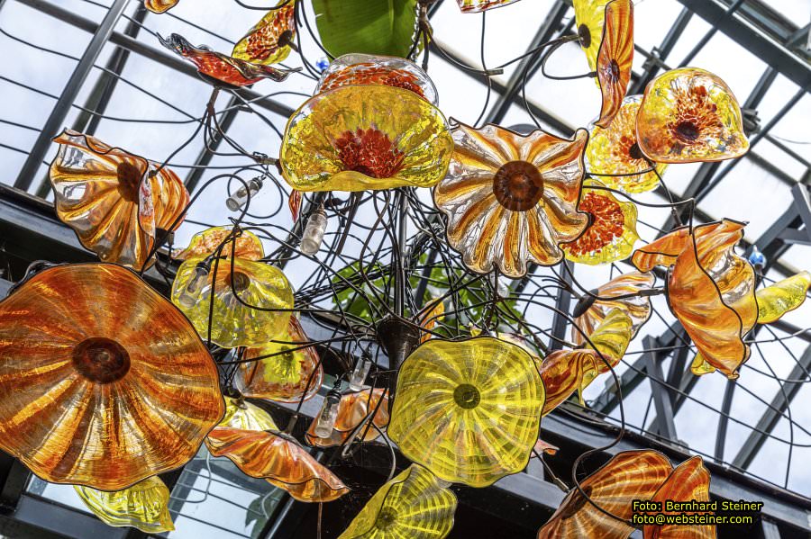 Glasmuseum- Die glserne Burg, Juni 2023