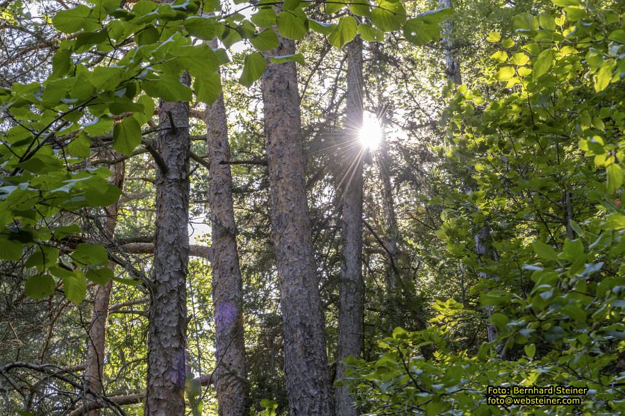 Hermannsh�hle, Kirchberg am Wechsel, August 2023