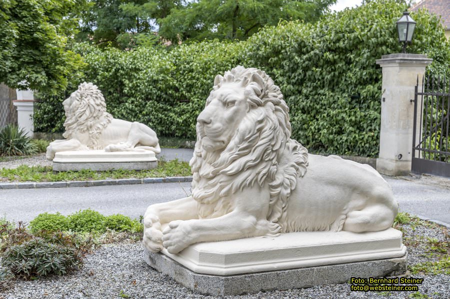 Horn im Waldviertel (N�), August 2023