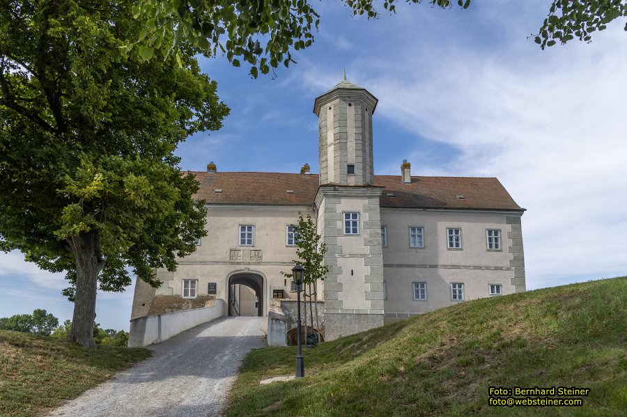Jedenspeigen im Marchfeld, August 2023