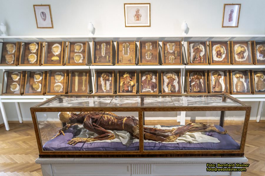 Josephinum in Wien, April 2023