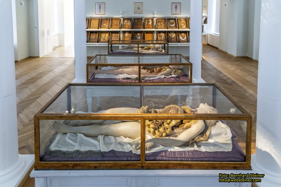 Josephinum in Wien, April 2023