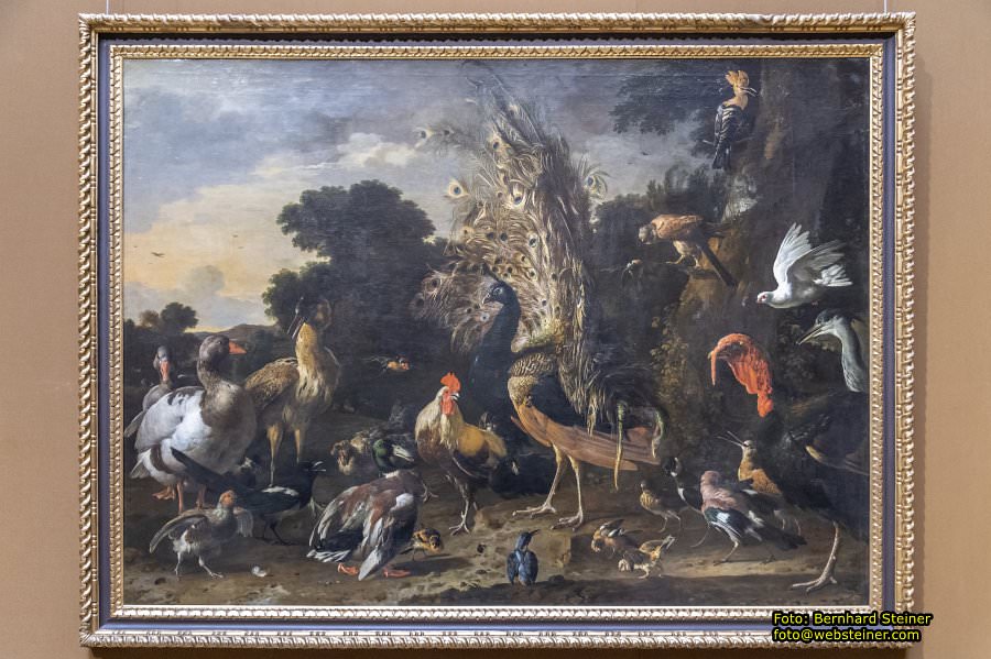 Kunsthistorisches Museum Wien (KHM), Oktober 2024