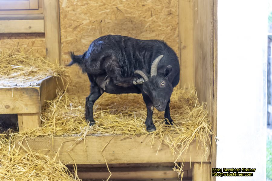 Kittenberger Erlebnisg�rten, Juni 2023