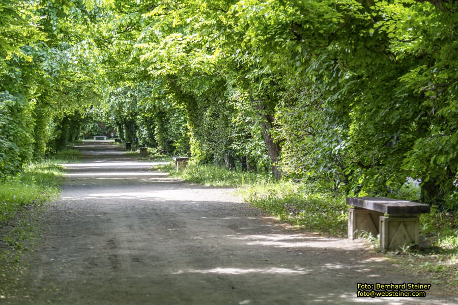 Kromeriz - Kremsier, Mai 2024