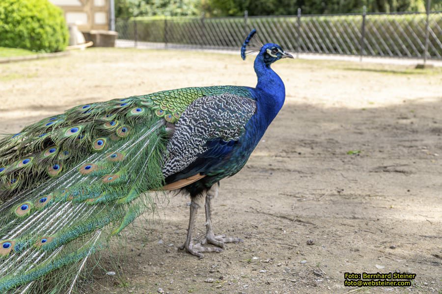 Kromeriz - Kremsier, Mai 2024