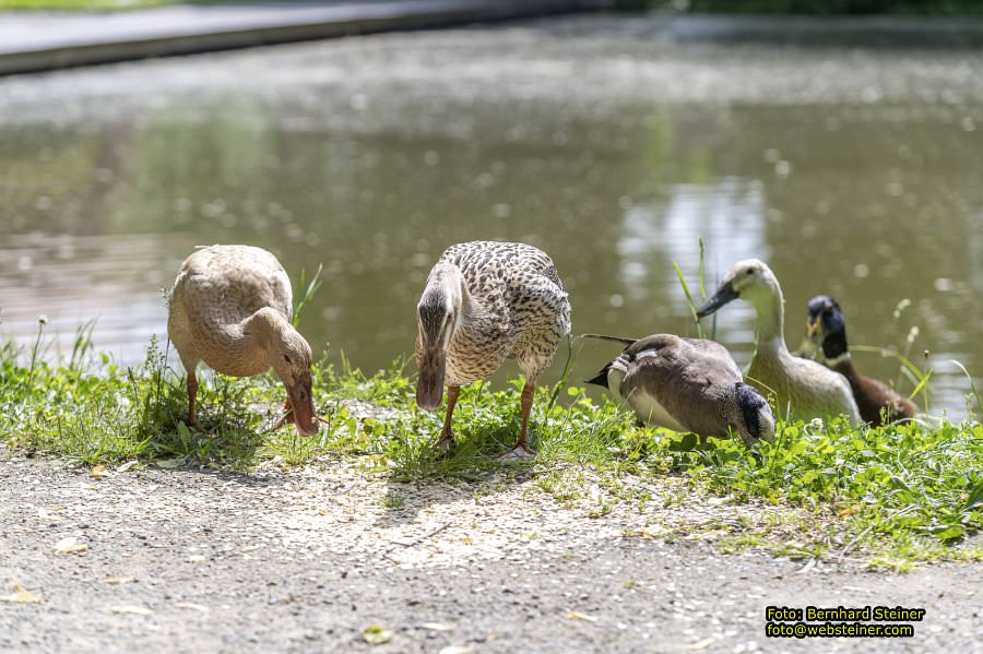 Kromeriz - Kremsier, Mai 2024