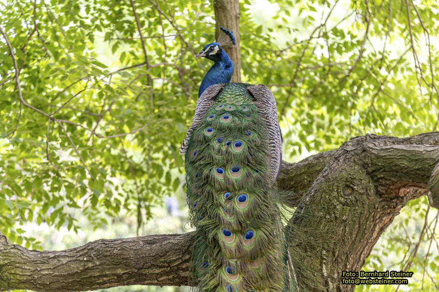 Kromeriz - Kremsier, Mai 2024