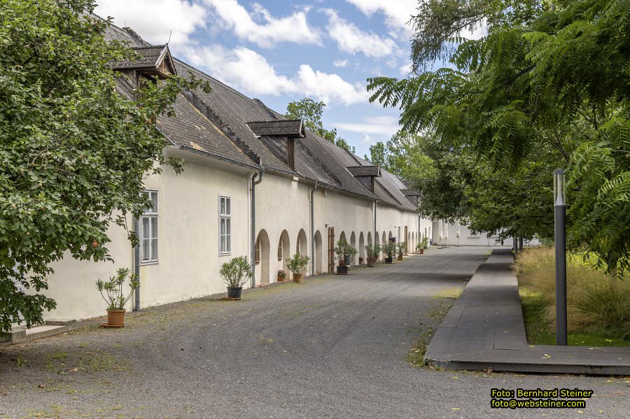 Lackenbach, August 2023