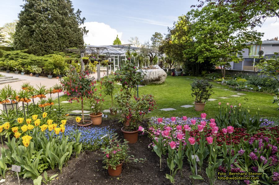 Botanischer Garten Linz, Mai 2022