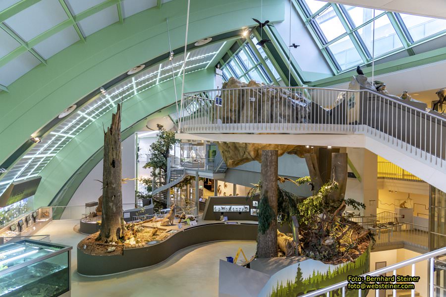 Museum Niedersterreich, Jnner 2023
