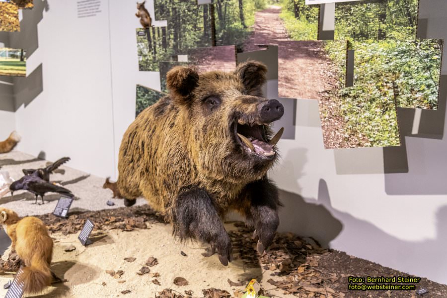 Museum Niedersterreich, Jnner 2023