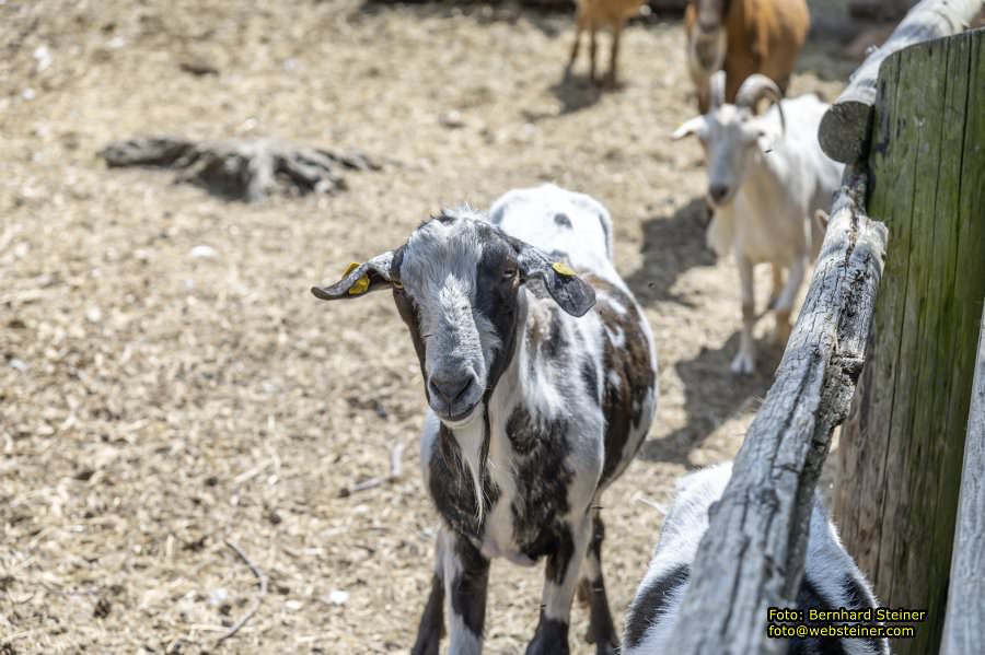 Naturpark Geras, Juli 2023