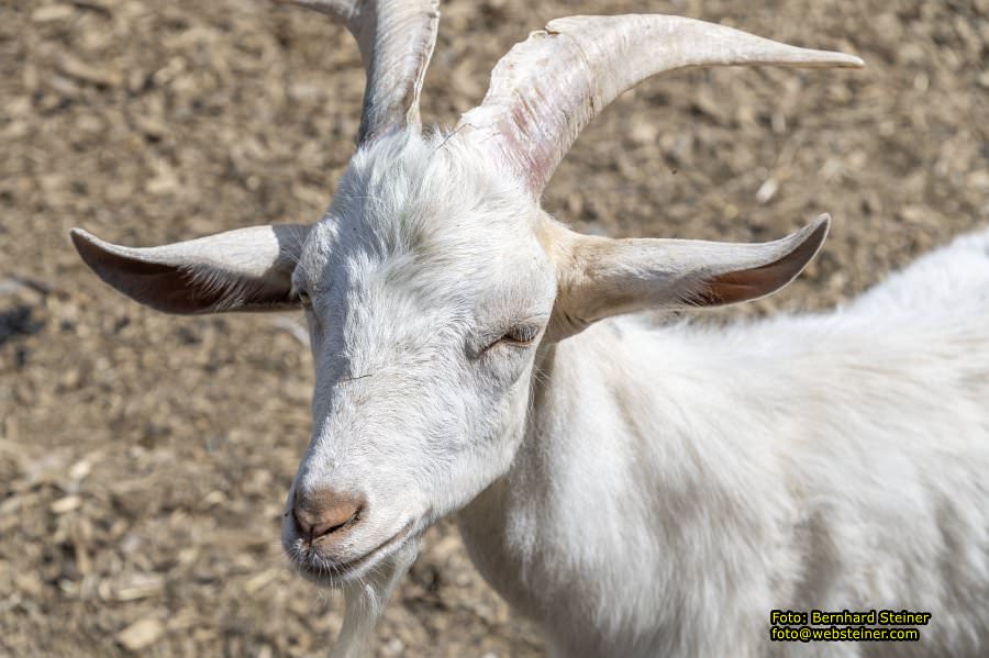 Naturpark Geras, Juli 2023