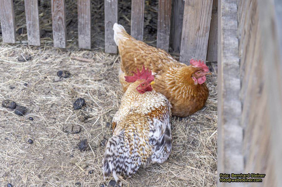 Naturpark Geras, Juli 2023