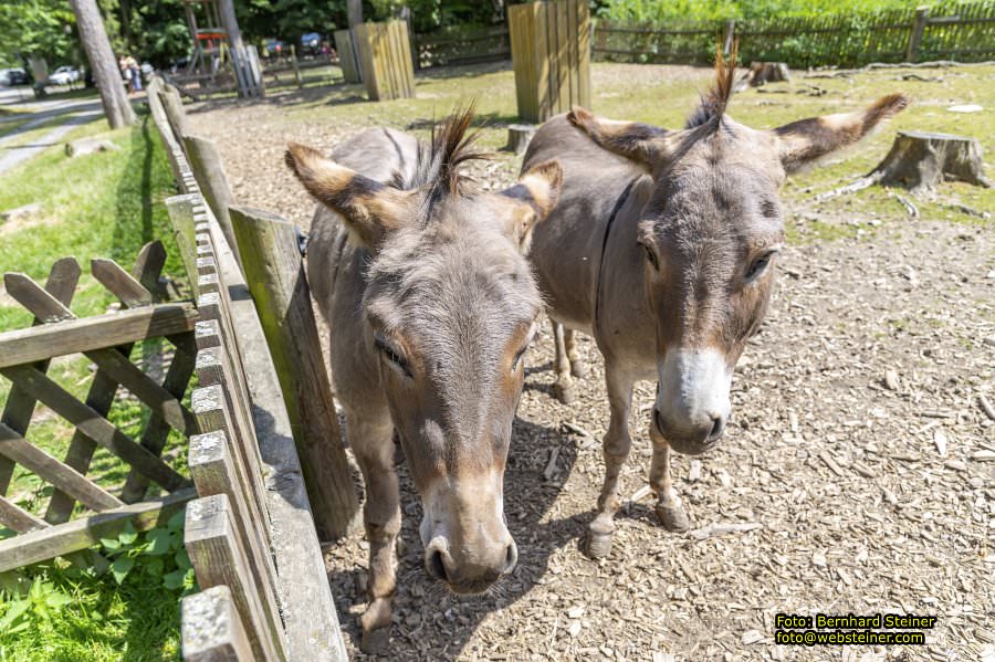 Naturpark Geras, Juli 2023