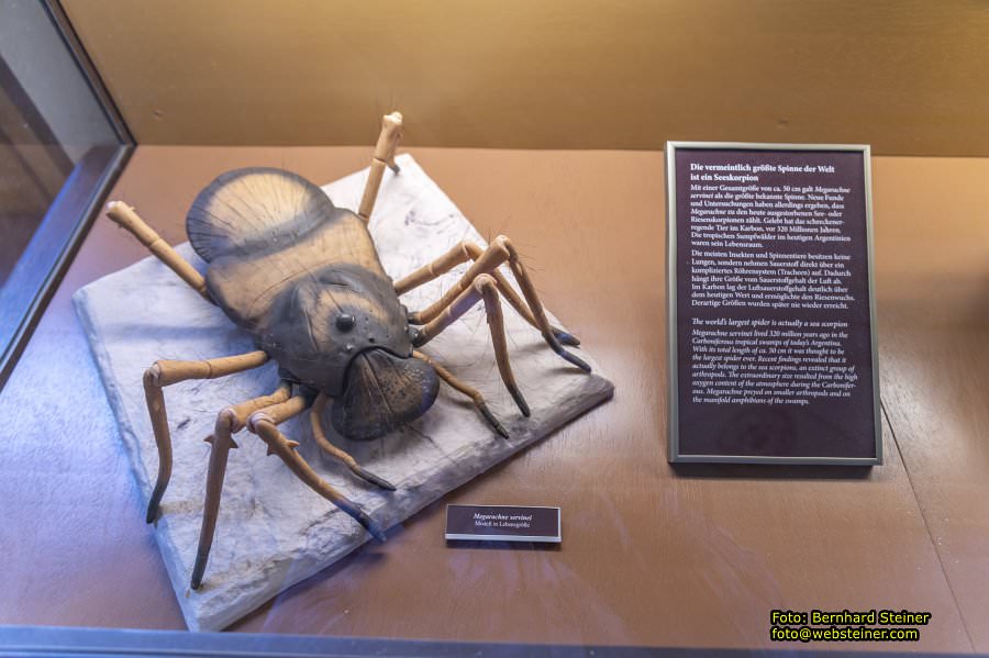 Naturhistorisches Museum Wien - NHM, Jnner 2023