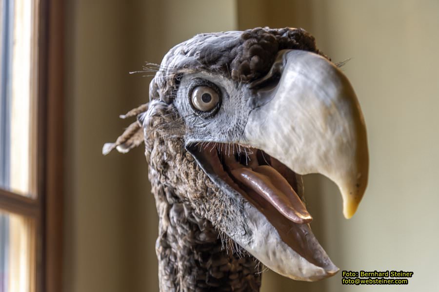 Naturhistorisches Museum Wien - NHM, Jnner 2023