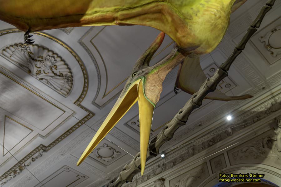 Naturhistorisches Museum Wien - NHM, Jnner 2023