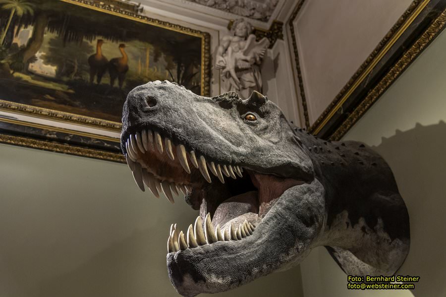 Naturhistorisches Museum Wien - NHM, Jnner 2023