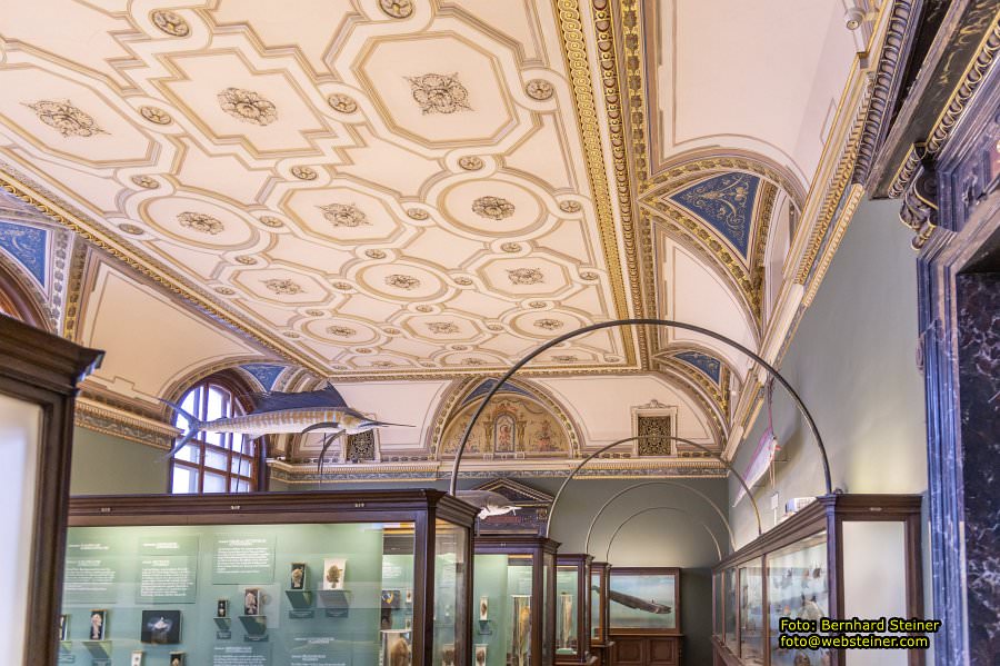 Naturhistorisches Museum Wien - NHM, Jnner 2023