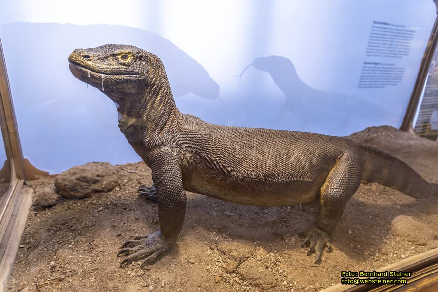 Naturhistorisches Museum Wien - NHM, Jnner 2023