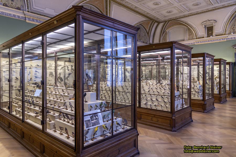 Naturhistorisches Museum Wien - NHM, Jnner 2023